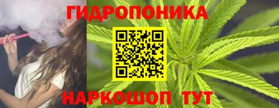 бошки Лесосибирск