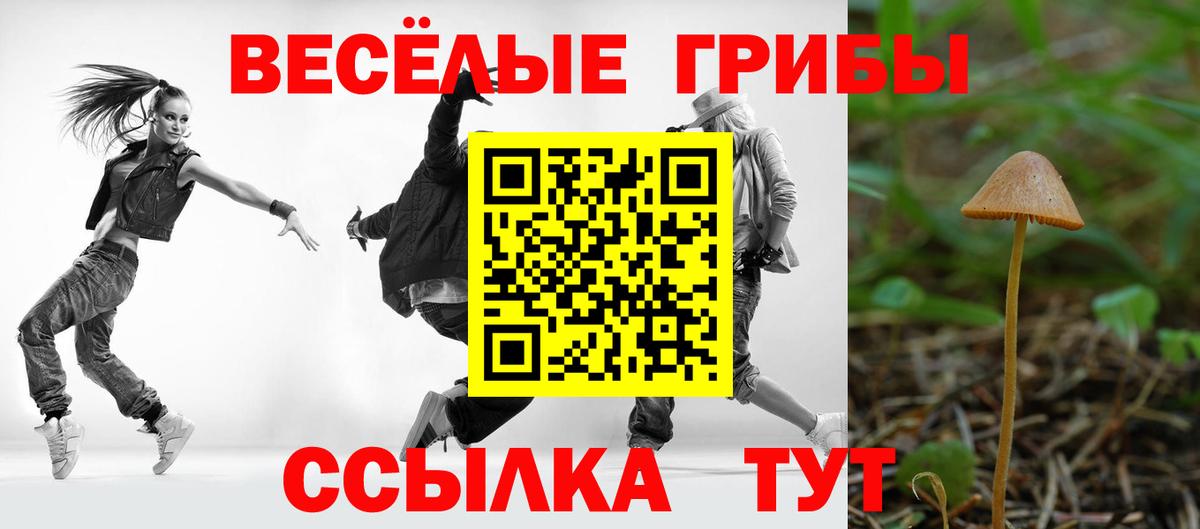Галлюциногенные грибы Magic Shrooms  Псилоцибиновые грибы прущие грибы  Вход с VPN  Губаха 